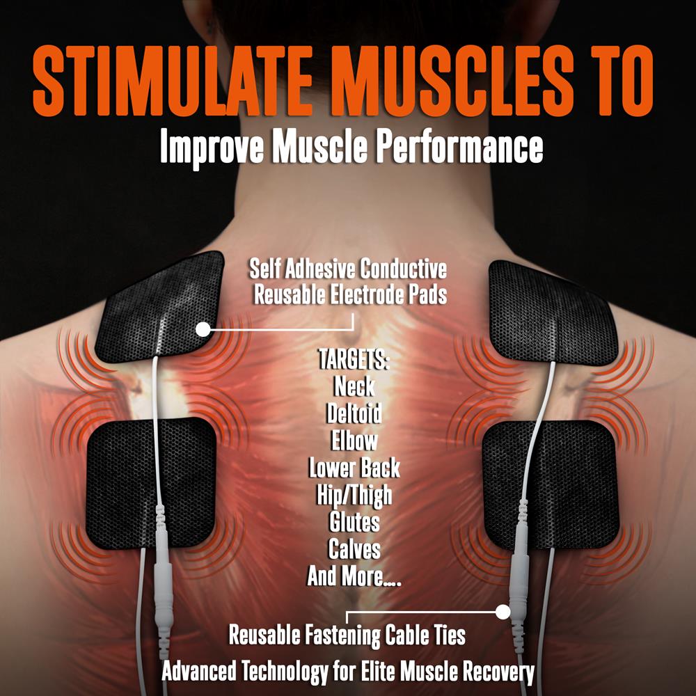 Amazon.com : Squat Assist Trainer for Glutes Workout, Squat